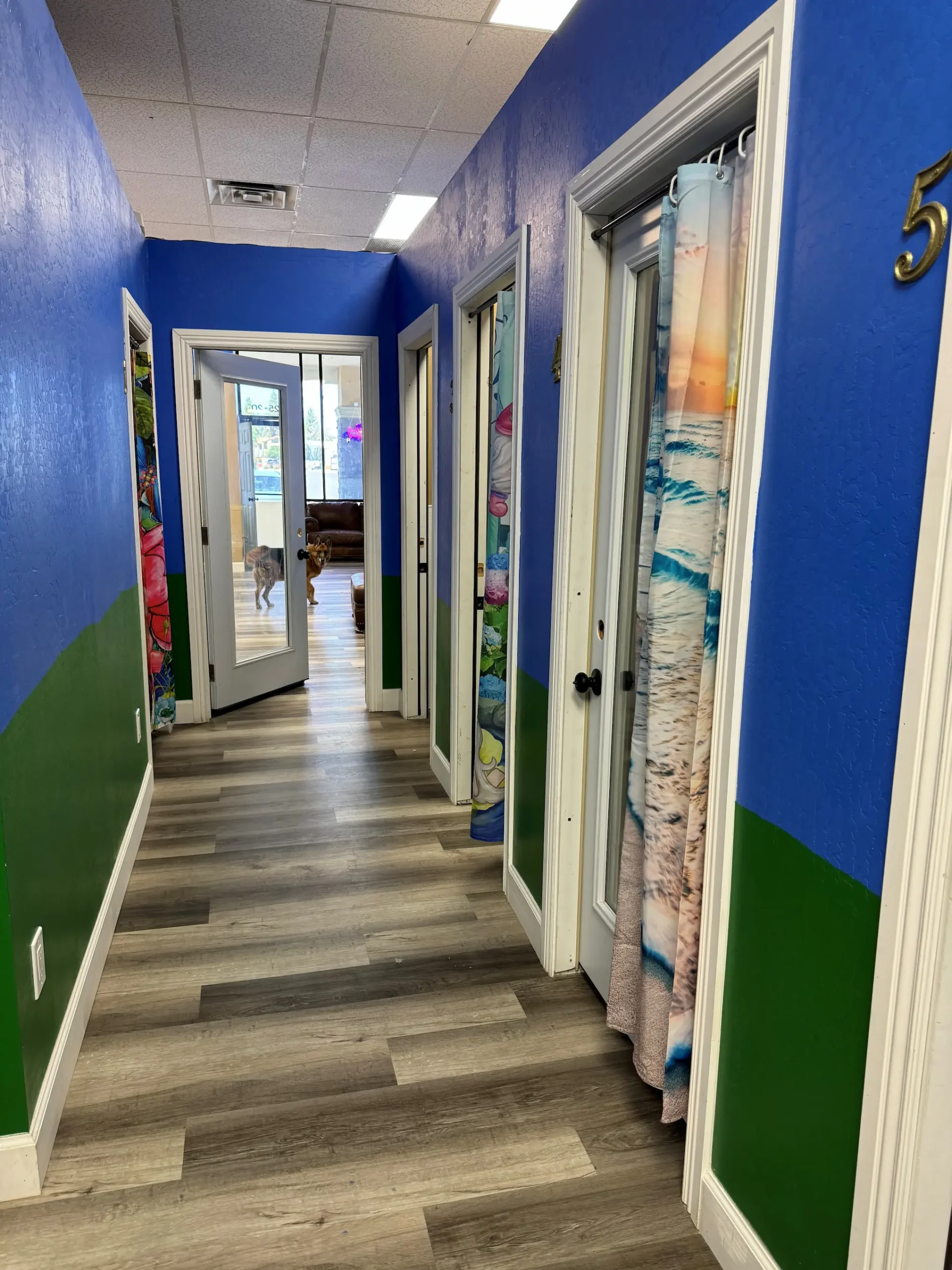 Dog Boarding Rooms in Ahwatukee AZ - Paws with Claws Pet Spa & Resort